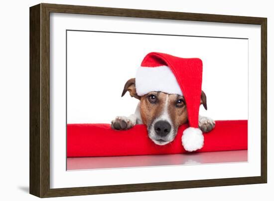 Christmas Dog Santa Baby-Javier Brosch-Framed Photographic Print