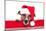 Christmas Dog Santa Baby-Javier Brosch-Mounted Photographic Print