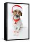 Christmas Dog Santa-Javier Brosch-Framed Stretched Canvas