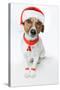 Christmas Dog Santa-Javier Brosch-Stretched Canvas