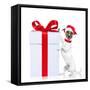 Christmas Dog Santa-Javier Brosch-Framed Stretched Canvas