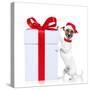 Christmas Dog Santa-Javier Brosch-Stretched Canvas