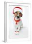 Christmas Dog Santa-Javier Brosch-Framed Photographic Print