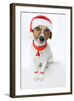 Christmas Dog Santa-Javier Brosch-Framed Photographic Print