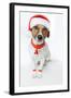 Christmas Dog Santa-Javier Brosch-Framed Photographic Print