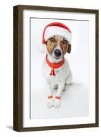 Christmas Dog Santa-Javier Brosch-Framed Photographic Print