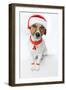 Christmas Dog Santa-Javier Brosch-Framed Photographic Print