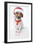 Christmas Dog Santa-Javier Brosch-Framed Photographic Print