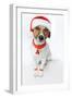 Christmas Dog Santa-Javier Brosch-Framed Photographic Print