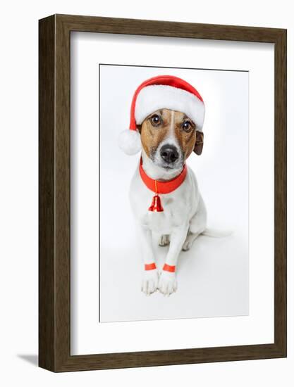 Christmas Dog Santa-Javier Brosch-Framed Photographic Print