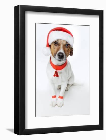 Christmas Dog Santa-Javier Brosch-Framed Photographic Print