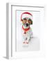 Christmas Dog Santa-Javier Brosch-Framed Photographic Print