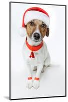 Christmas Dog Santa-Javier Brosch-Mounted Photographic Print