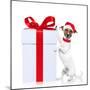 Christmas Dog Santa-Javier Brosch-Mounted Photographic Print