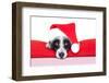 Christmas Dog-Javier Brosch-Framed Photographic Print