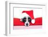 Christmas Dog-Javier Brosch-Framed Photographic Print