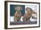 Christmas Dogs-Bruce Dumas-Framed Giclee Print