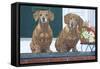 Christmas Dogs-Bruce Dumas-Framed Stretched Canvas