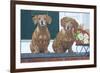 Christmas Dogs-Bruce Dumas-Framed Giclee Print
