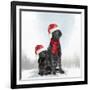 Christmas DOGS-Clare Davis London-Framed Giclee Print