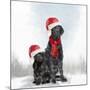 Christmas DOGS-Clare Davis London-Mounted Giclee Print