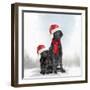 Christmas DOGS-Clare Davis London-Framed Giclee Print