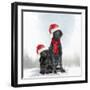 Christmas DOGS-Clare Davis London-Framed Giclee Print