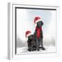 Christmas DOGS-Clare Davis London-Framed Giclee Print