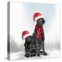 Christmas DOGS-Clare Davis London-Stretched Canvas