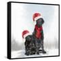 Christmas DOGS-Clare Davis London-Framed Stretched Canvas