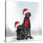 Christmas DOGS-Clare Davis London-Stretched Canvas