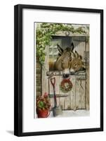 Christmas Donkies-Janet Pidoux-Framed Giclee Print