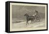 Christmas Eve-Heywood Hardy-Framed Stretched Canvas