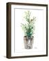 Christmas Fir II-Patricia Pinto-Framed Art Print