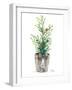 Christmas Fir II-Patricia Pinto-Framed Art Print