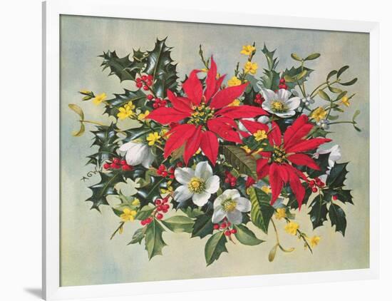 Christmas Flowers-Albert Williams-Framed Giclee Print