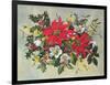 Christmas Flowers-Albert Williams-Framed Giclee Print