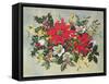 Christmas Flowers-Albert Williams-Framed Stretched Canvas