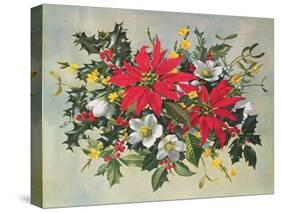 Christmas Flowers-Albert Williams-Stretched Canvas