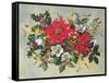 Christmas Flowers-Albert Williams-Framed Stretched Canvas