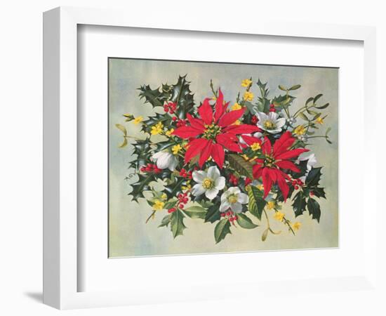 Christmas Flowers-Albert Williams-Framed Giclee Print