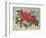 Christmas Flowers-Albert Williams-Framed Giclee Print