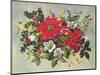 Christmas Flowers-Albert Williams-Mounted Giclee Print