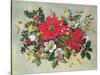 Christmas Flowers-Albert Williams-Stretched Canvas