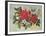 Christmas Flowers-Albert Williams-Framed Giclee Print