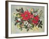 Christmas Flowers-Albert Williams-Framed Giclee Print