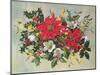 Christmas Flowers-Albert Williams-Mounted Giclee Print