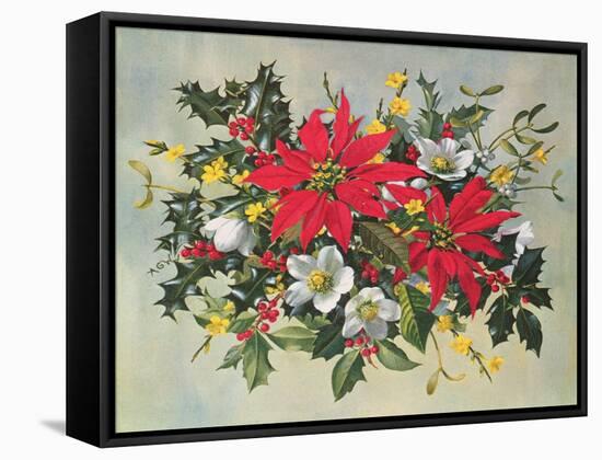 Christmas Flowers-Albert Williams-Framed Stretched Canvas