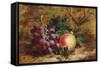 Christmas Fruit and Flowers-Charles T. Bale-Framed Stretched Canvas