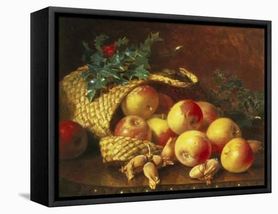 Christmas Fruit and Nuts-Eloise Harriet Stannard-Framed Stretched Canvas